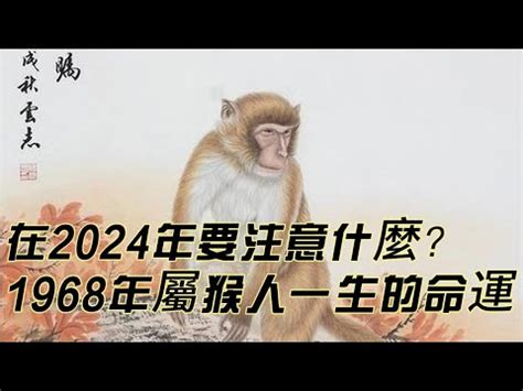 1968屬猴幸運色|【1968屬猴幸運色】1968屬猴幸運色曝光！穿對提升。